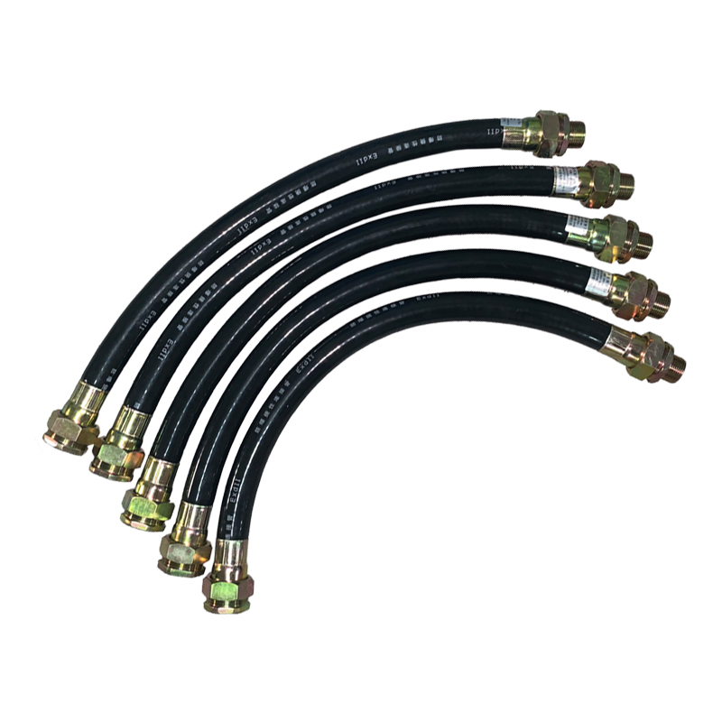 BNG系列防爆撓性連接管